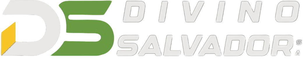 Divino Salvador S.A.